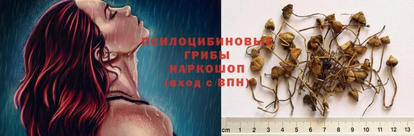 прущая мука Белоозёрский